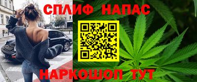 гидра Малоярославец