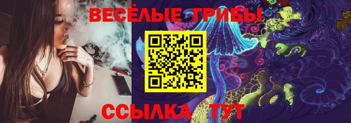 Псилоцибиновые грибы Cubensis  Вход с VPN  Псилоцибиновые грибы Magic Shrooms  Зеленокумск 